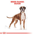 Load image into Gallery viewer, Royal Canin Boxer Adult Dry Dog Food
