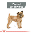 Load image into Gallery viewer, Royal Canin Mini Dental Care Adult Dry Dog Food
