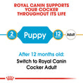 Load image into Gallery viewer, Royal Canin Cocker Puppy Dry Dog Food
