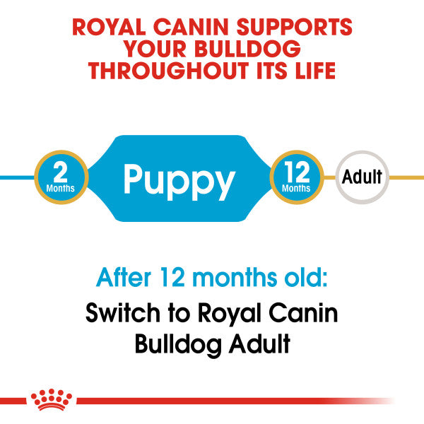Royal Canin Bulldog Puppy Dry Food