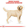 Load image into Gallery viewer, Royal Canin Labrador Retriever Adult Dry Dog Food
