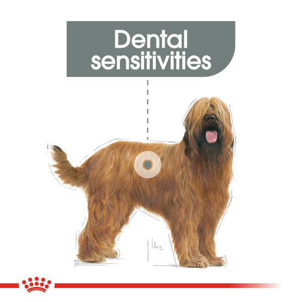 Royal Canin Maxi Dental Care Adult Dry Dog Food