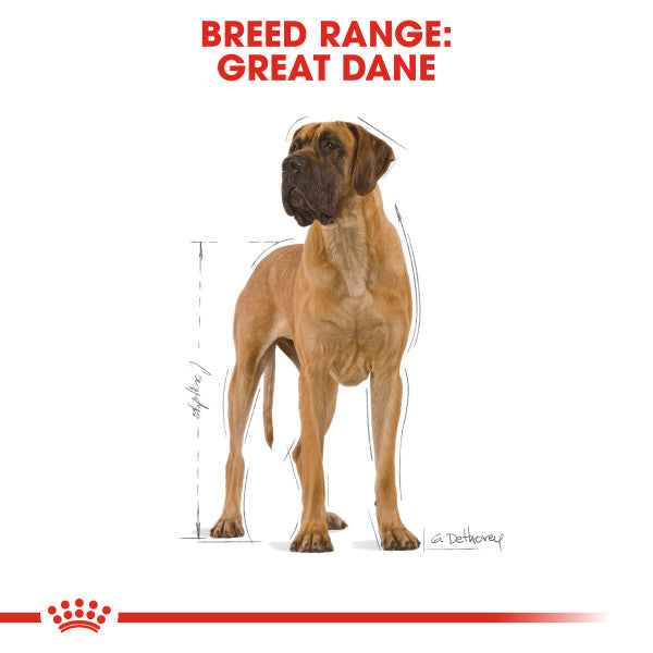 Royal Canin Dane Adult Dry Dog Food