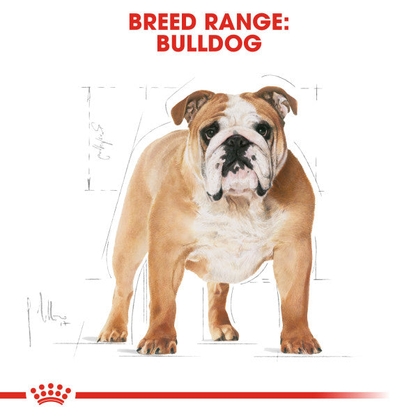 Royal Canin Bulldog Adult Dry Dog Food