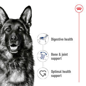 Royal Canin Maxi Dry Adult Dog Food 3kg