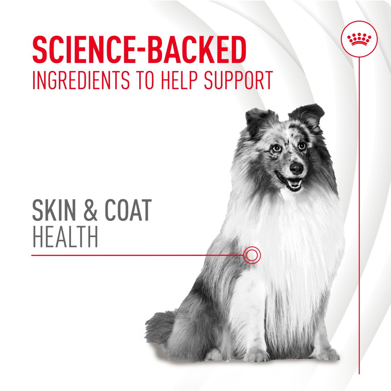 Royal Canin Dog Supplement for Skin & Coat Soft Chews  240g