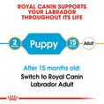 Load image into Gallery viewer, Royal Canin Labrador Retriever Puppy Dry Food
