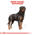 Load image into Gallery viewer, Royal Canin Rottweiler Adult Dry Dog Food

