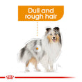 Load image into Gallery viewer, Royal Canin Coat Care Wet Pouches Adult Dog Food
