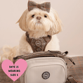 Load image into Gallery viewer, Bow Tie - Colour Drops - Heritage Plaid
