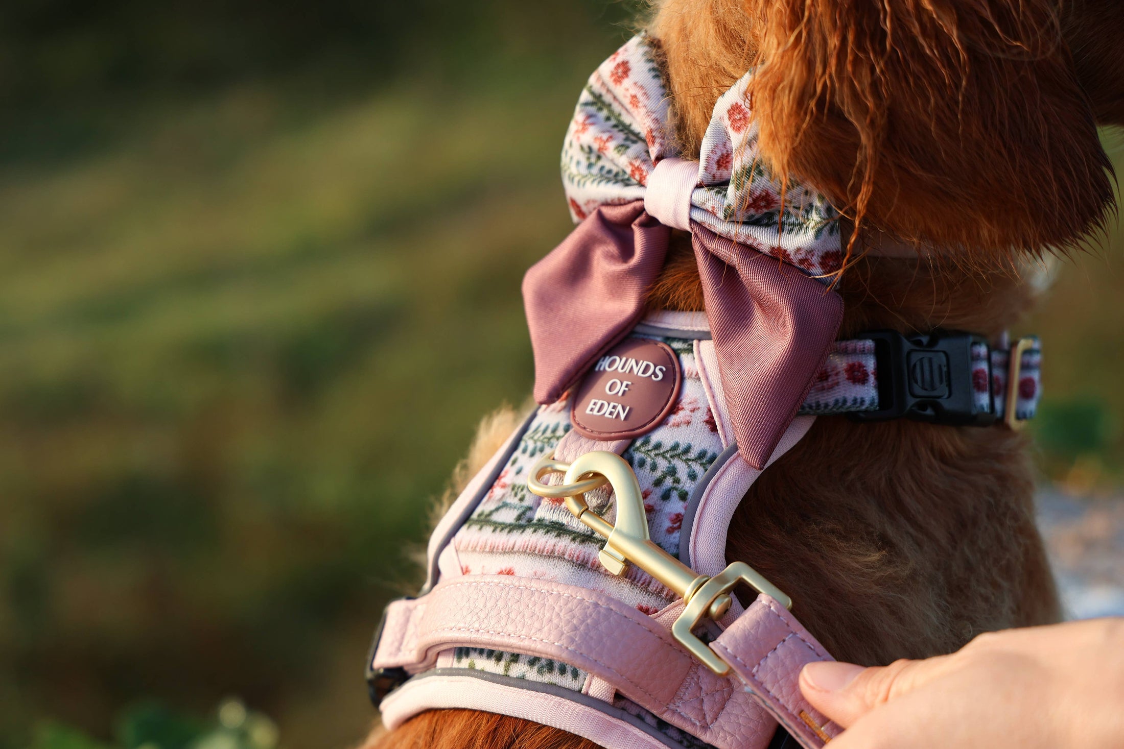 Bella's Jumper Supaw Strong Lite™ Dog Harness (XS-XL): Large