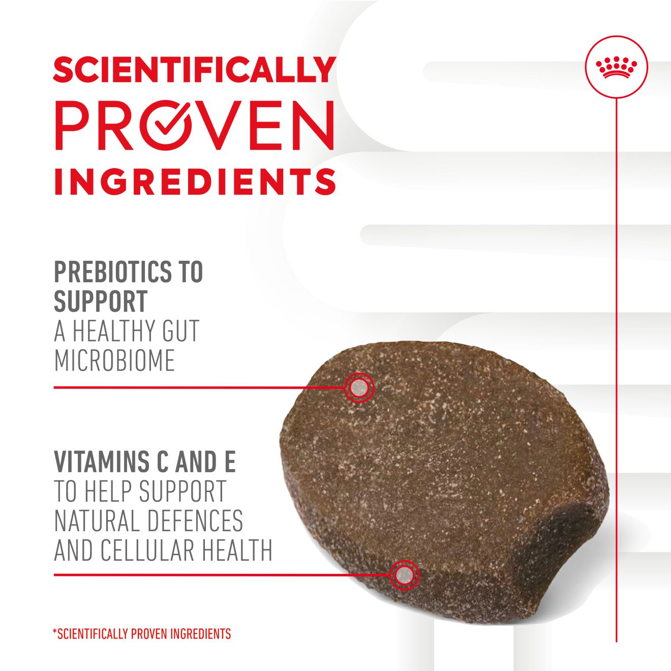 Royal Canin Puppy Supplement for Immunity & Digestion Soft Chews  100g