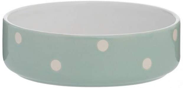Mason Cash Polka Dot Bowl For Dogs