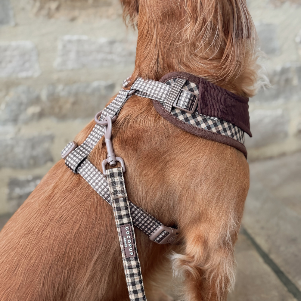 Cotswolds Check Adjustable Neck HARNESS: L