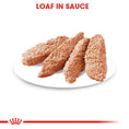 Load image into Gallery viewer, Royal Canin Coat Care Wet Pouches Adult Dog Food
