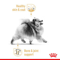 Load image into Gallery viewer, Royal Canin Pomeranian Adult Dry Dog Food
