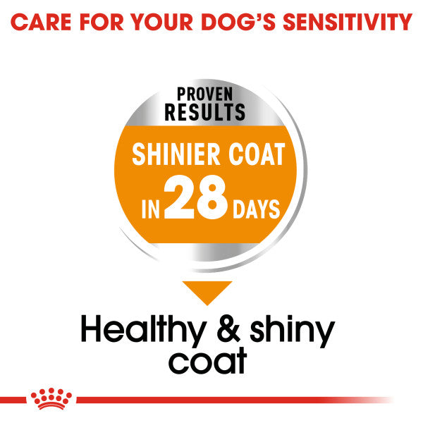 Royal Canin Coat Care Adult Dry Dog Food
