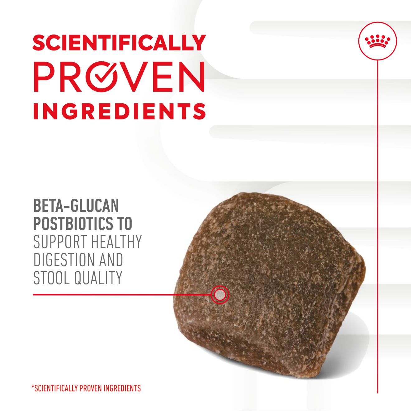Royal Canin Dog Supplement for Digestion Soft Chews  160g