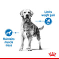 Load image into Gallery viewer, Royal Canin Medium Light Weight Care Adult Dry Dog Food
