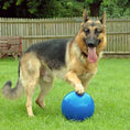 Load image into Gallery viewer, Company Of Animals Boomer Ball
