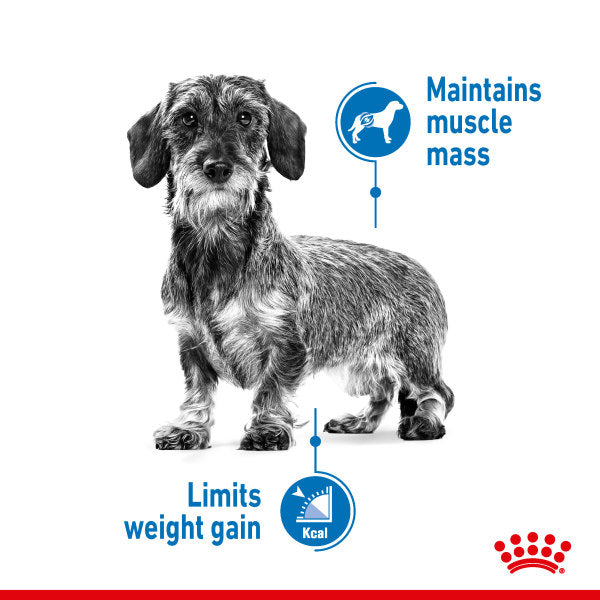 Royal Canin Light Weight Care Wet Pouches Adult Dog Food