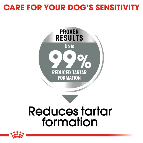 Royal Canin Medium Dental Care Adult Dry Dog Food