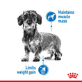 Load image into Gallery viewer, Royal Canin X-Small Light Weight Care Adult Dry Dog Food
