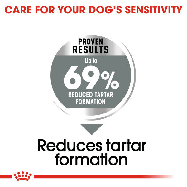 Royal Canin Mini Dental Care Adult Dry Dog Food