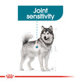 Load image into Gallery viewer, Royal Canin Maxi Joint Care Adult Dry Dog Food
