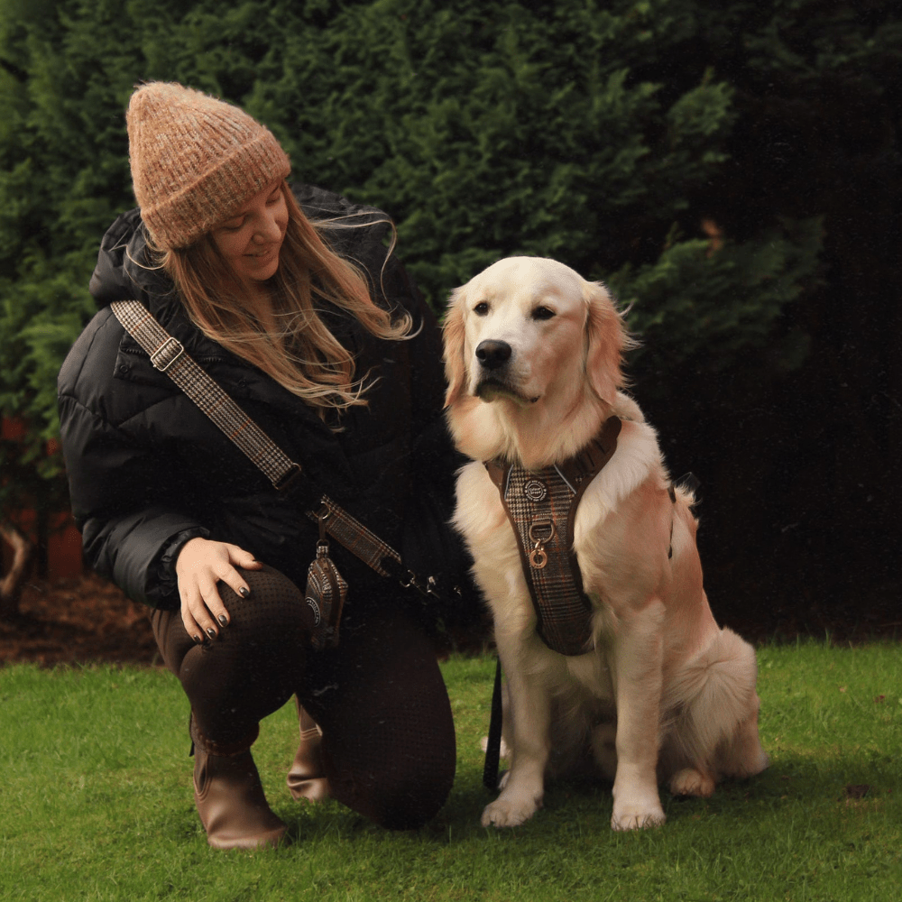 Trail & Glow Tweed Dog Harness & Lead Set - Colour Drops - Heritage Plaid: S