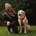 Load image into Gallery viewer, Trail & Glow Tweed Dog Harness - Colour Drops - Heritage Plaid: XL
