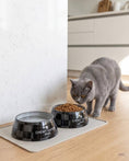 Load image into Gallery viewer, Black Checker Chewy Vuiton Bowl
