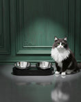 Load image into Gallery viewer, PETKIT Fresh Nano Metal Adjustable Cat Feeding
