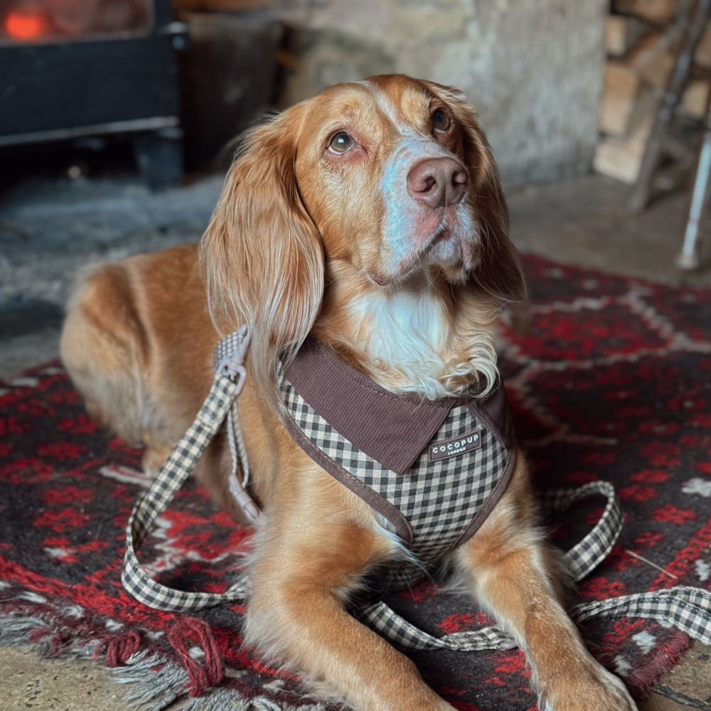 Cotswolds Check Adjustable Neck HARNESS: L