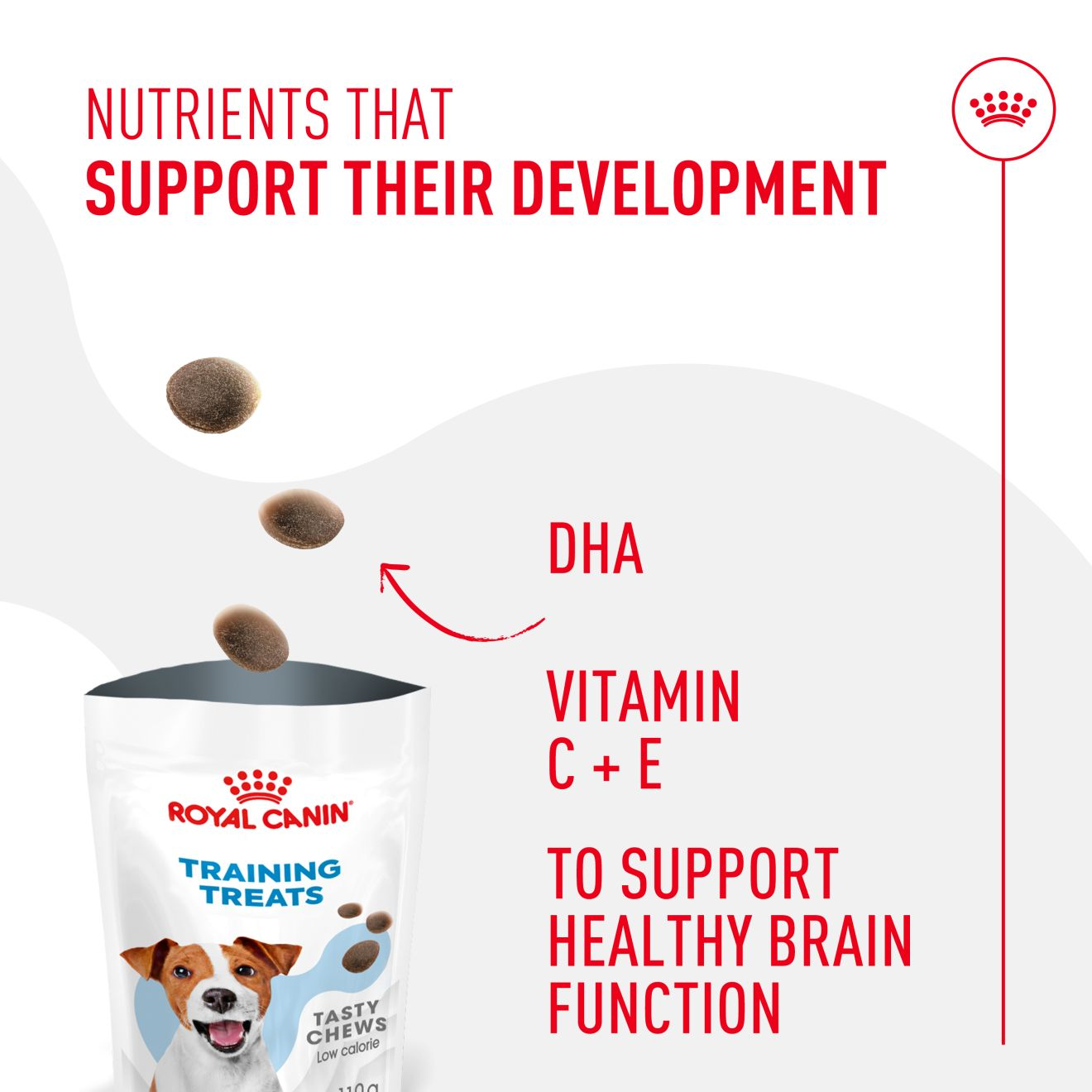 Royal Canin Dog Treats for Training  110g