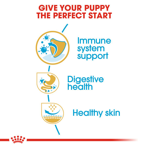 Royal Canin French Bulldog Puppy Dry Food