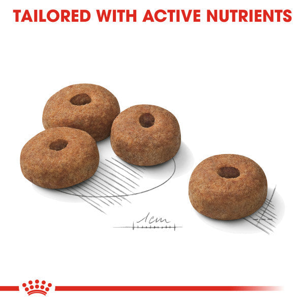 Royal Canin Maxi Sterilised Care Adult Dry Dog Food