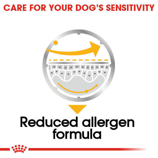 Royal Canin Dermacomfort Adult Wet Dog Food Pouches