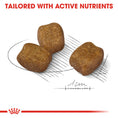 Load image into Gallery viewer, Royal Canin Mini Dental Care Adult Dry Dog Food
