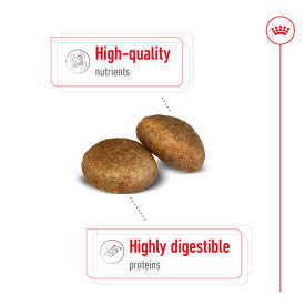 Royal Canin Maxi Dry Adult Dog Food 3kg
