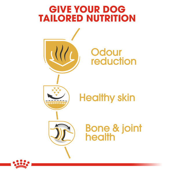 Royal Canin Bulldog Adult Dry Dog Food