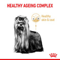 Load image into Gallery viewer, Royal Canin Yorkshire Terrier Adult 8+ Dry Dog Food
