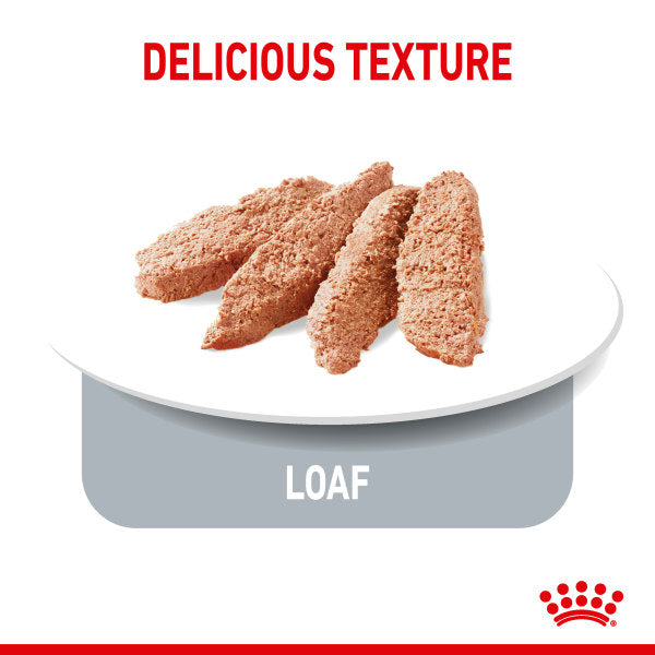 Royal Canin Light Weight Care Wet Pouches Adult Dog Food