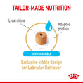 Load image into Gallery viewer, Royal Canin Labrador Retriever Adult 5+ Dry Dog Food
