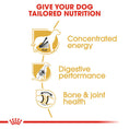 Load image into Gallery viewer, Royal Canin Dane Adult Dry Dog Food
