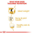 Load image into Gallery viewer, Royal Canin Labrador Retriever Adult Dry Dog Food
