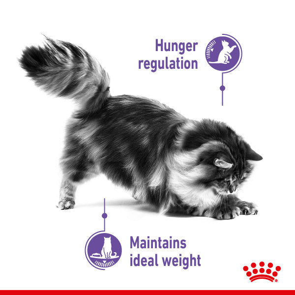 Royal Canin Appetite Control Care Adult Dry Cat Food