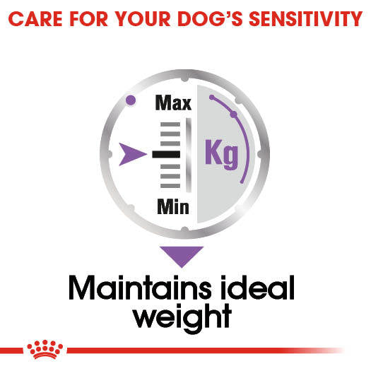 Royal Canin Sterilised Care Adult Wet Dog Food Pouches