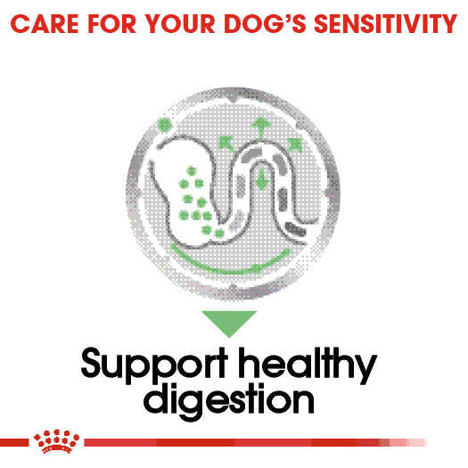 Royal Canin Digestive Care Wet Pouches Adult Dog Food