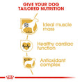 Load image into Gallery viewer, Royal Canin Boxer Adult Dry Dog Food
